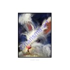 Fluffy Face Bunny Rabbit PRINTS